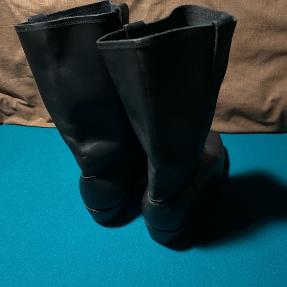 DINGO - Picture 4 of 6